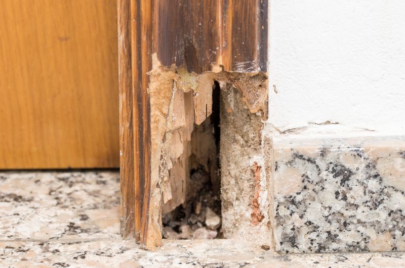 Rotting Door Repair in Kansas City, KS