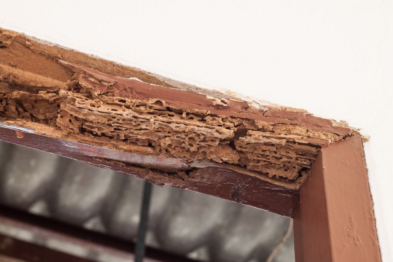 Rotting Door Repair in Kansas City, KS