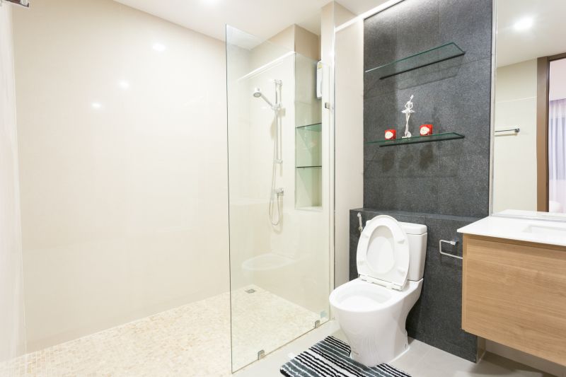 Shower Glass Replacement in Littleton, CO